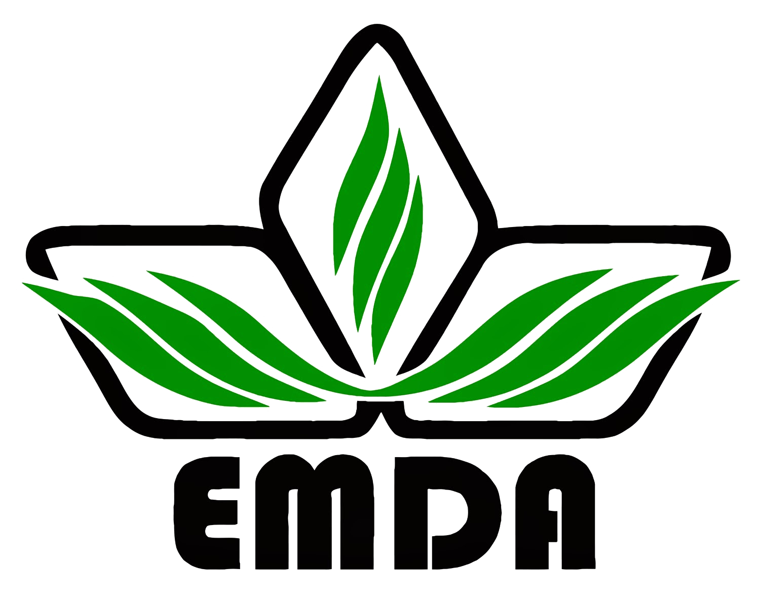 EMDA
